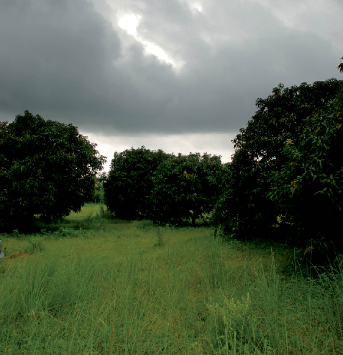 Cloudburst
